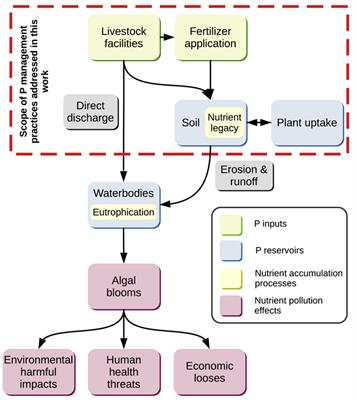 Addressing the contribution of agricultural systems to the phosphorus pollution challenge: a multi-dimensional perspective